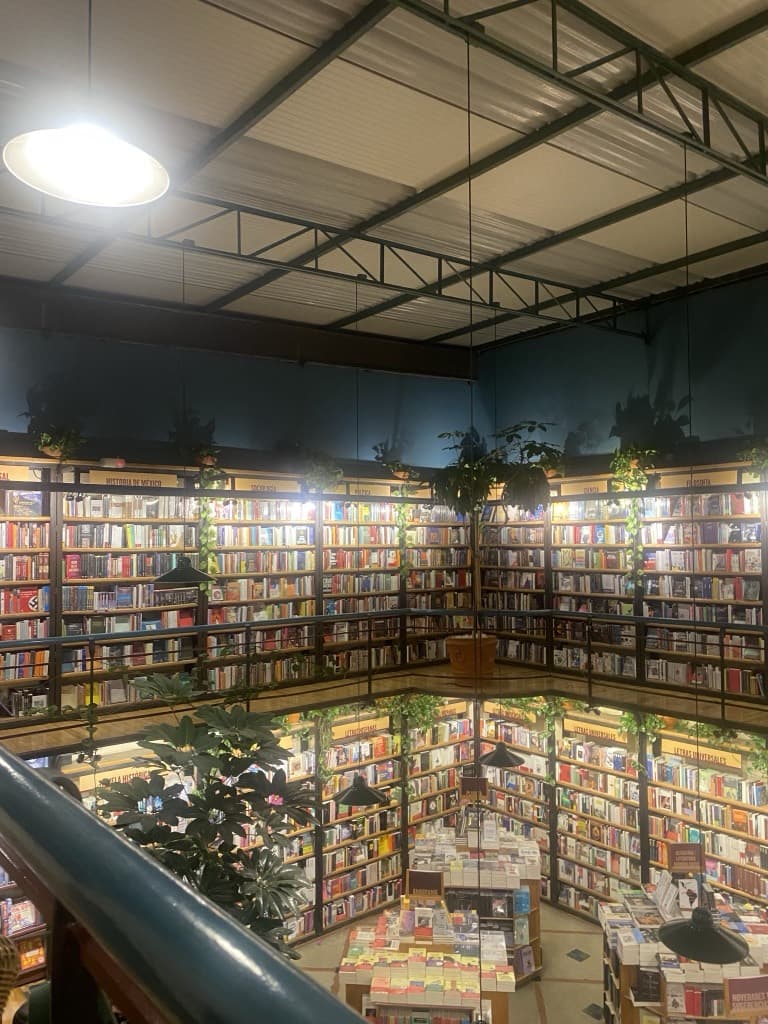 Floor-to-ceiling bookshelves running around a corner of an independent bookshop, under a dark teal ceiling with trailing plants along the top shelf.