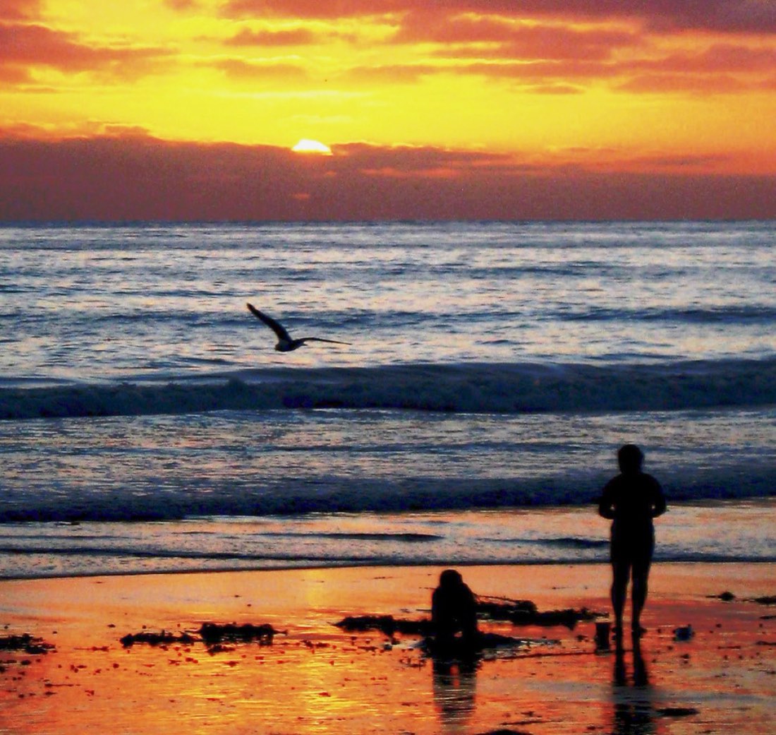 Two people on a wet beach at a blazing orange sunset, a gull skimming the waves