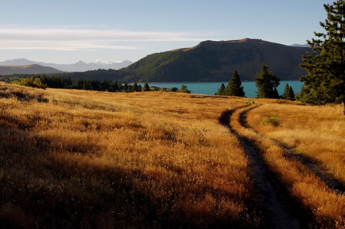 A dirt track winding through golden grass down to a turquoise lake