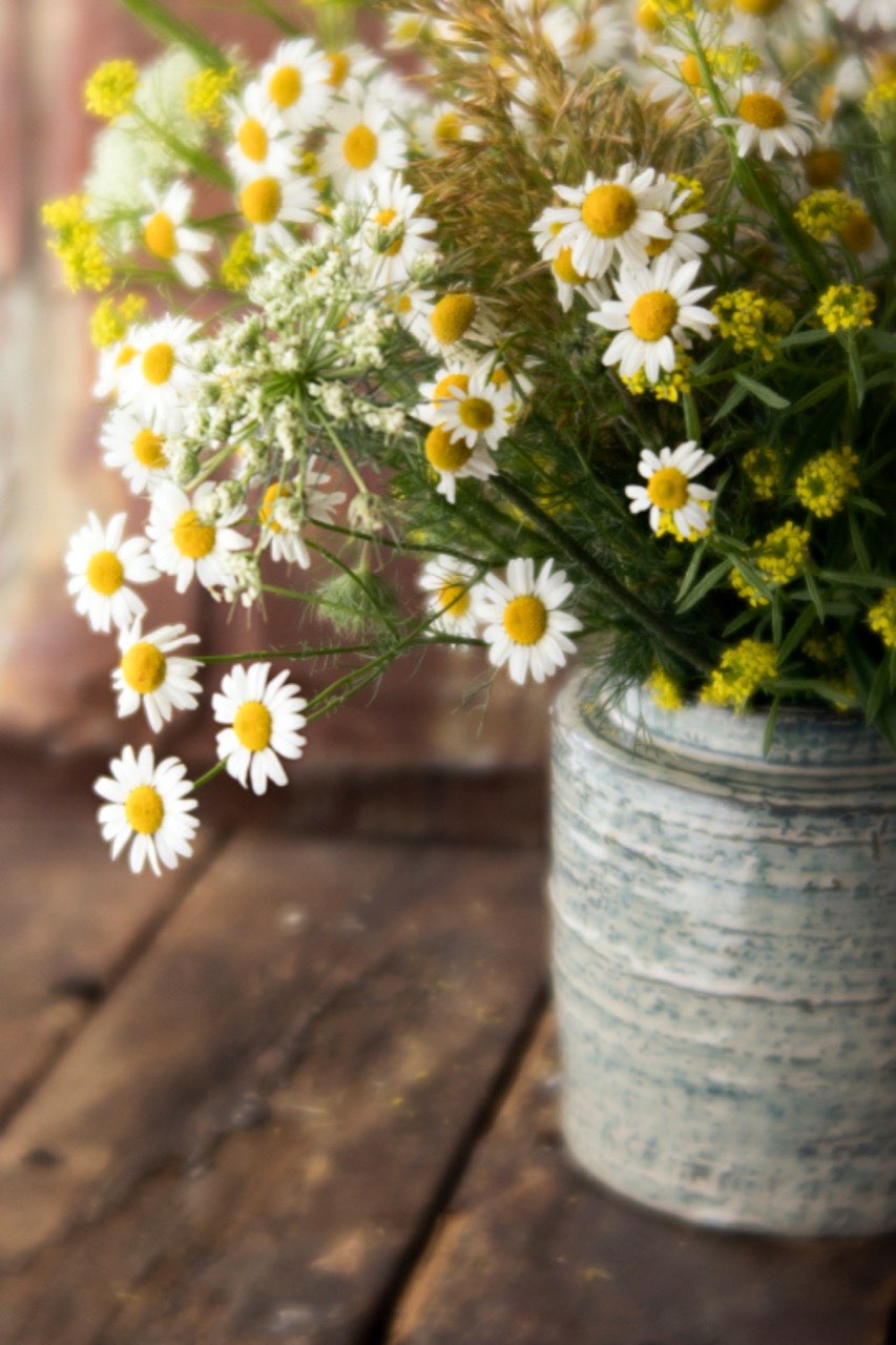 Ox-eye daisies and cow parsley in a pale stoneware jug standing on a worn wooden table
