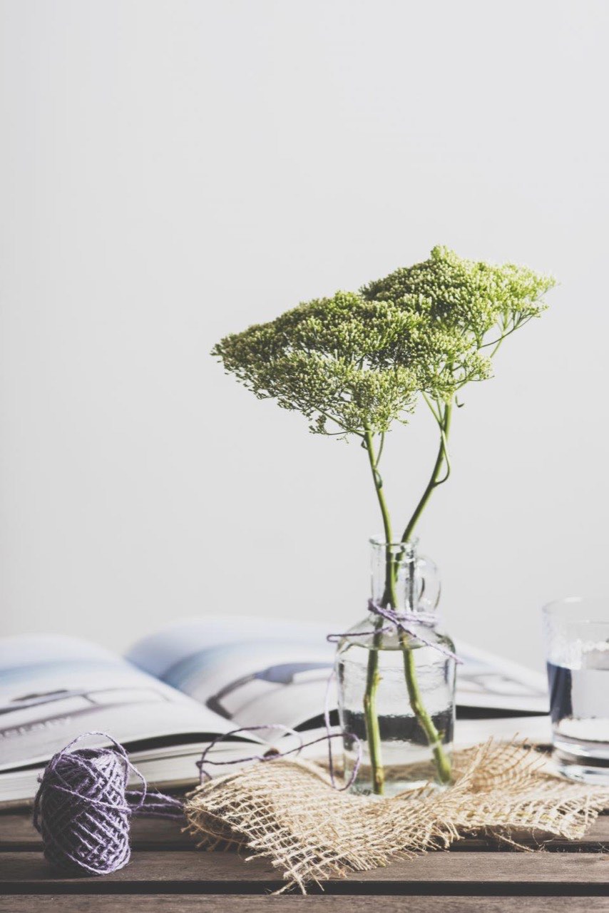 A single green umbel in a small glass bottle on a linen mat, an open book out of focus behind