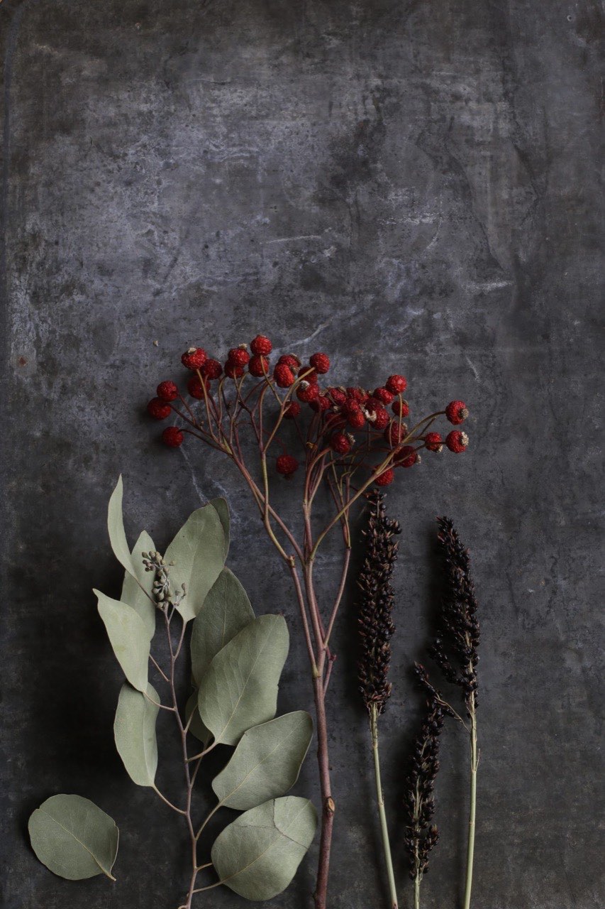Eucalyptus, red berries and dark dried spikes laid out in a row on grey slate