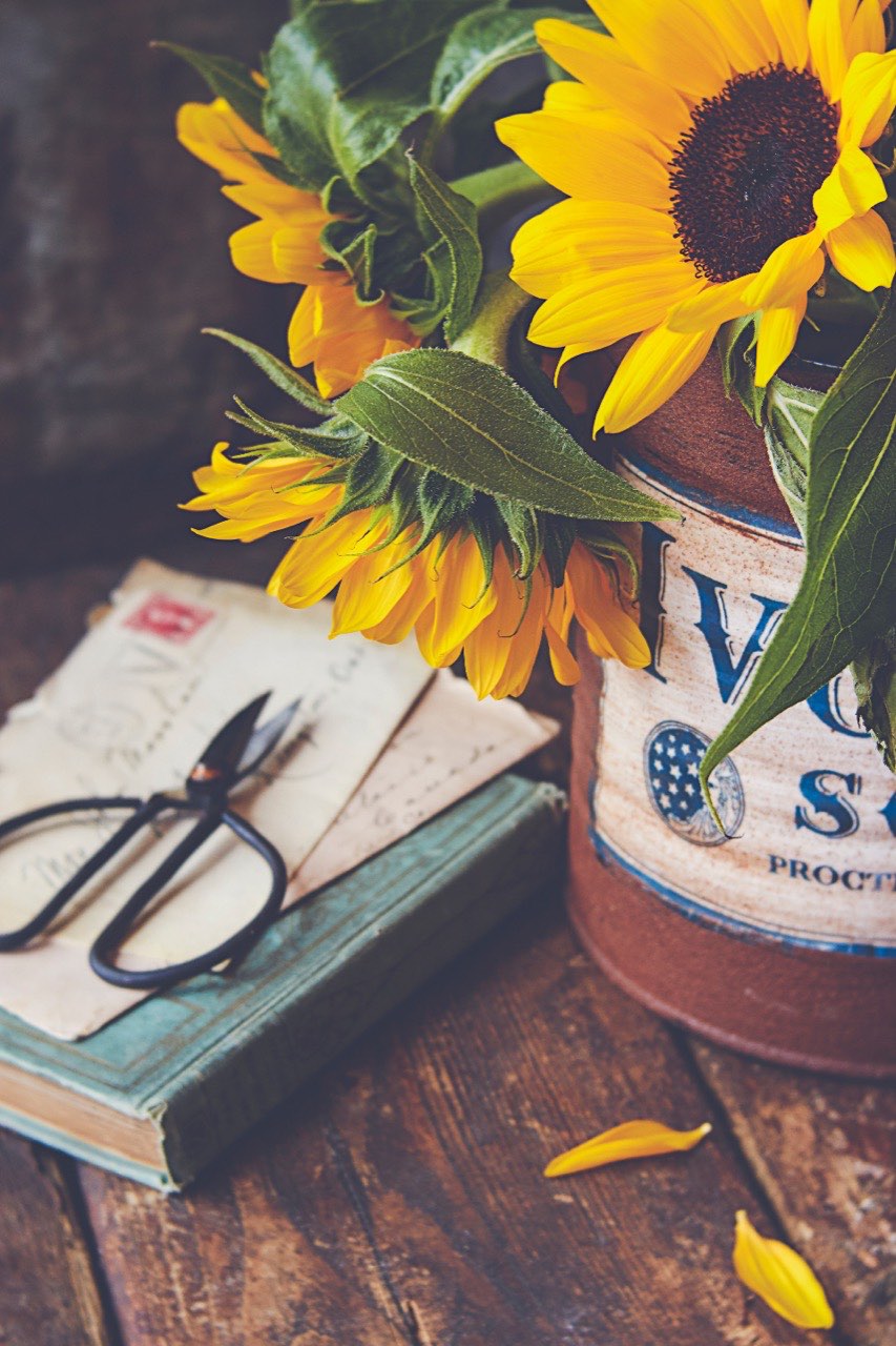 Sunflowers in an old tin beside a stack of books and a pair of scissors on a wooden table