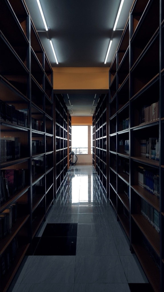 A narrow aisle between two tall dark bookcases, receding towards a bright window at the far end.