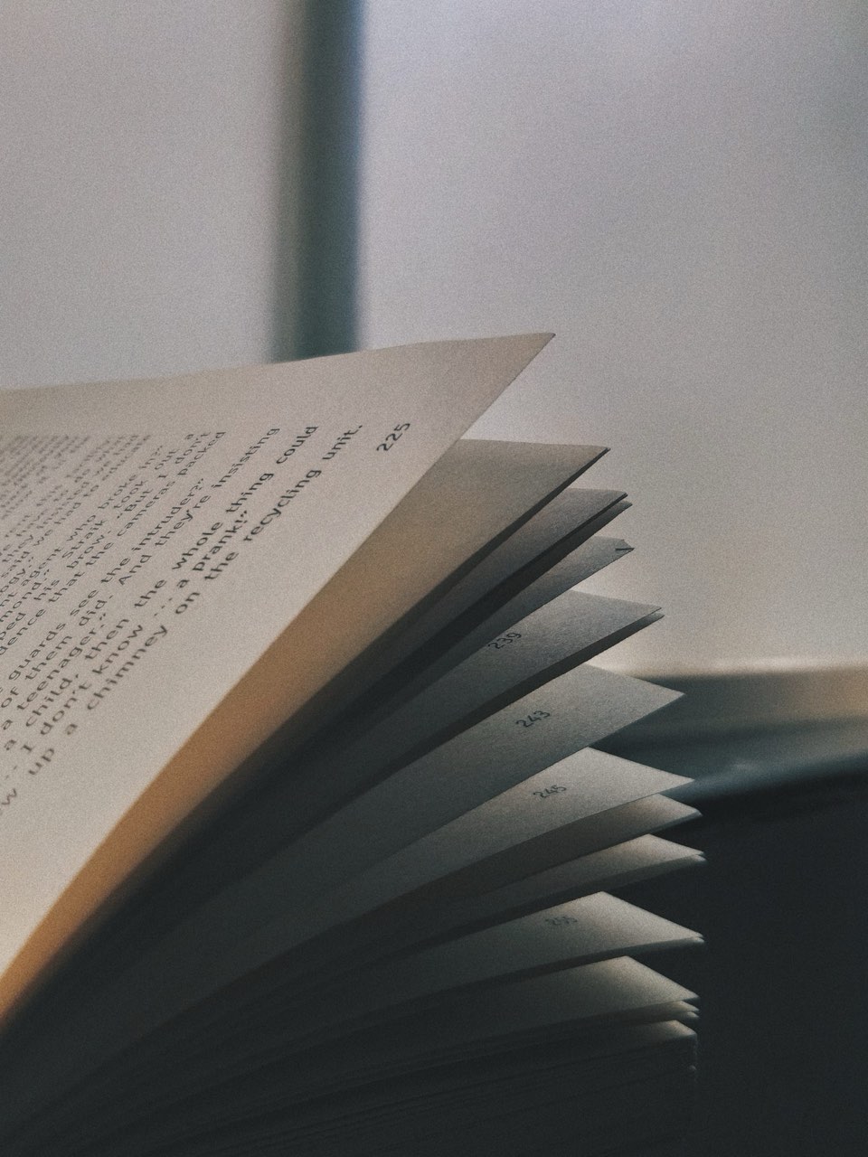 The fanned pages of an open book catching soft daylight against a pale wall.