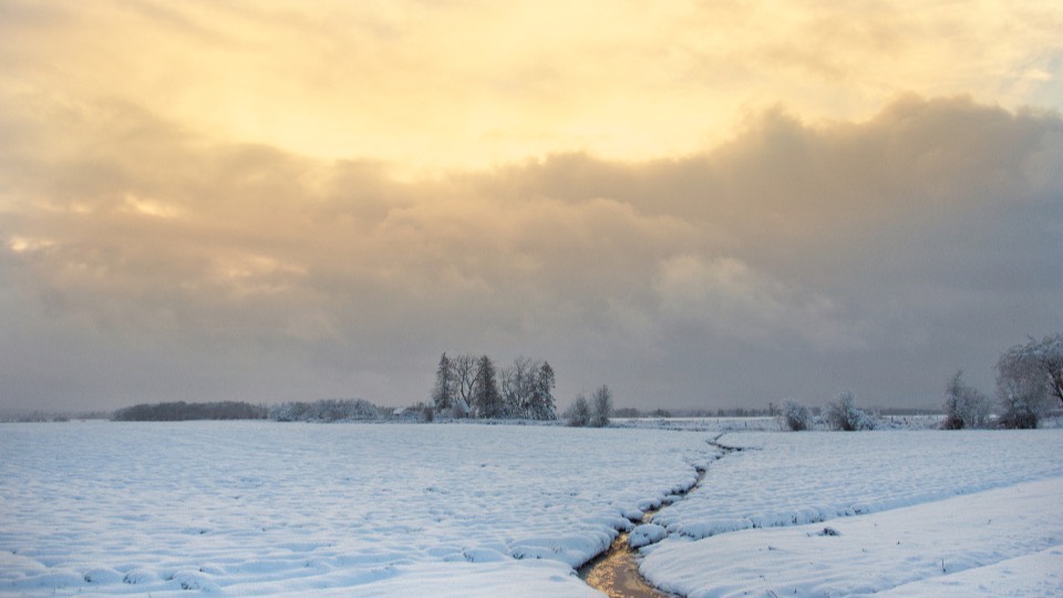 A frozen field under a low gold sky, a dark stream cutting a line through the snow to a far treeline.