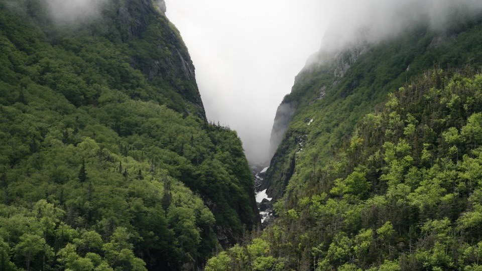 A steep green ravine with cloud pouring over the ridge line and a thin waterfall in the cleft.