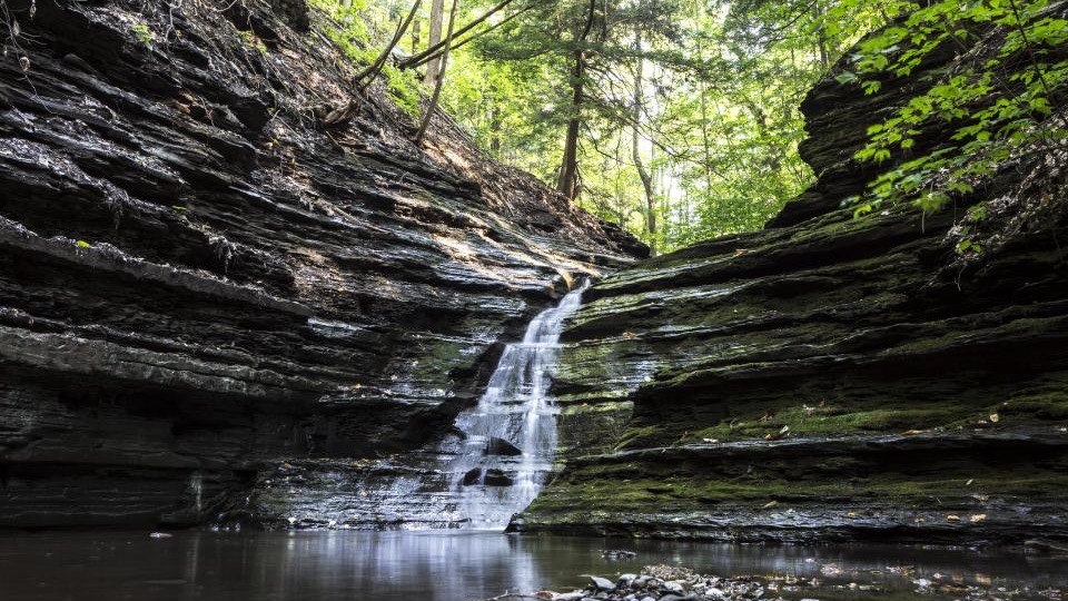A thin waterfall dropping over layered shale into a shallow pool, wet rock and green canopy above.