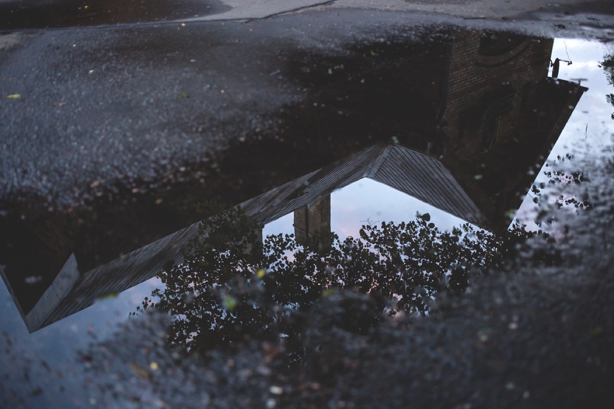 A building and bare branches reflected upside down in a puddle on wet asphalt.