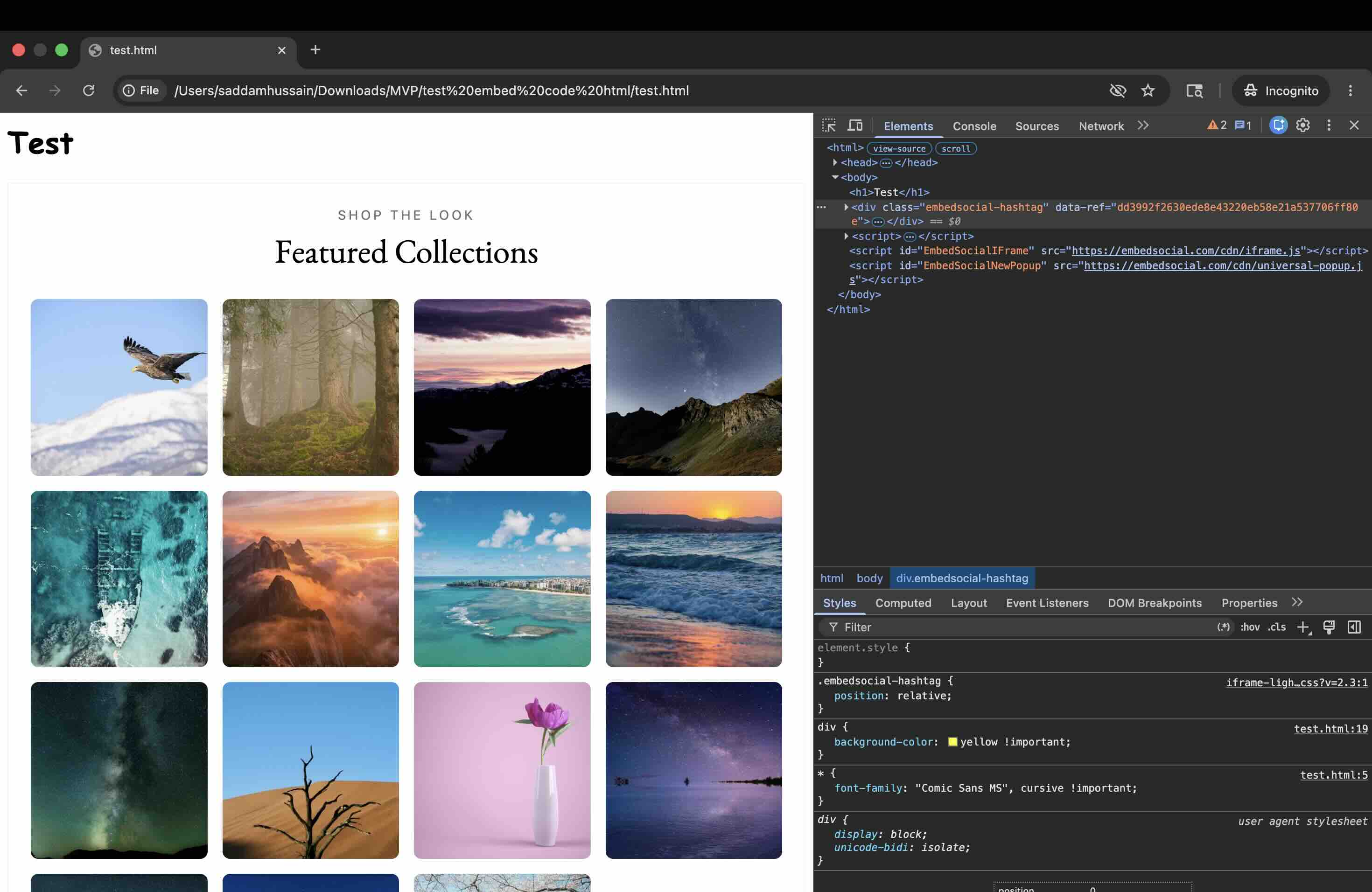 EmbedSocial widget fully loaded showing complete iframe isolation from test CSS